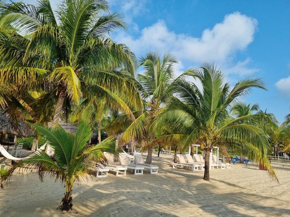 Caribbean Beach Cabanas Placencia Eksteriør bilde