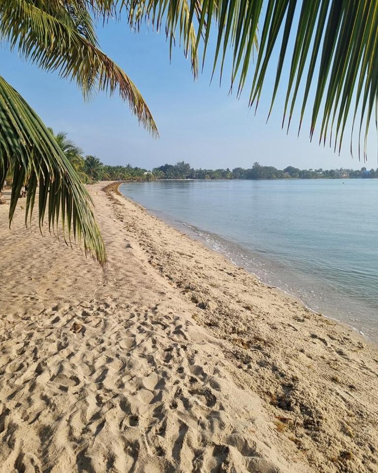 Caribbean Beach Cabanas Placencia Eksteriør bilde