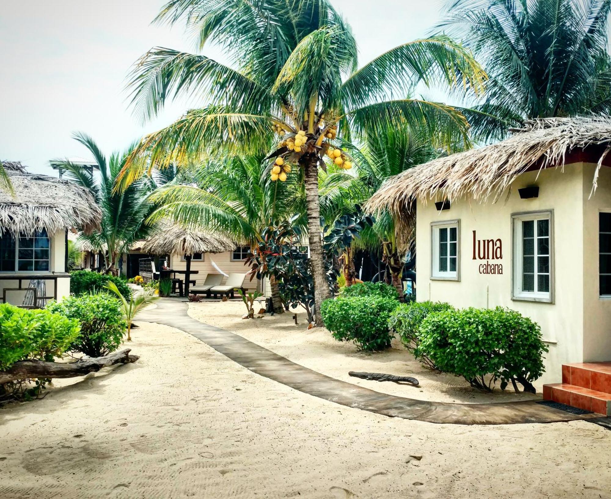 Caribbean Beach Cabanas Placencia Eksteriør bilde